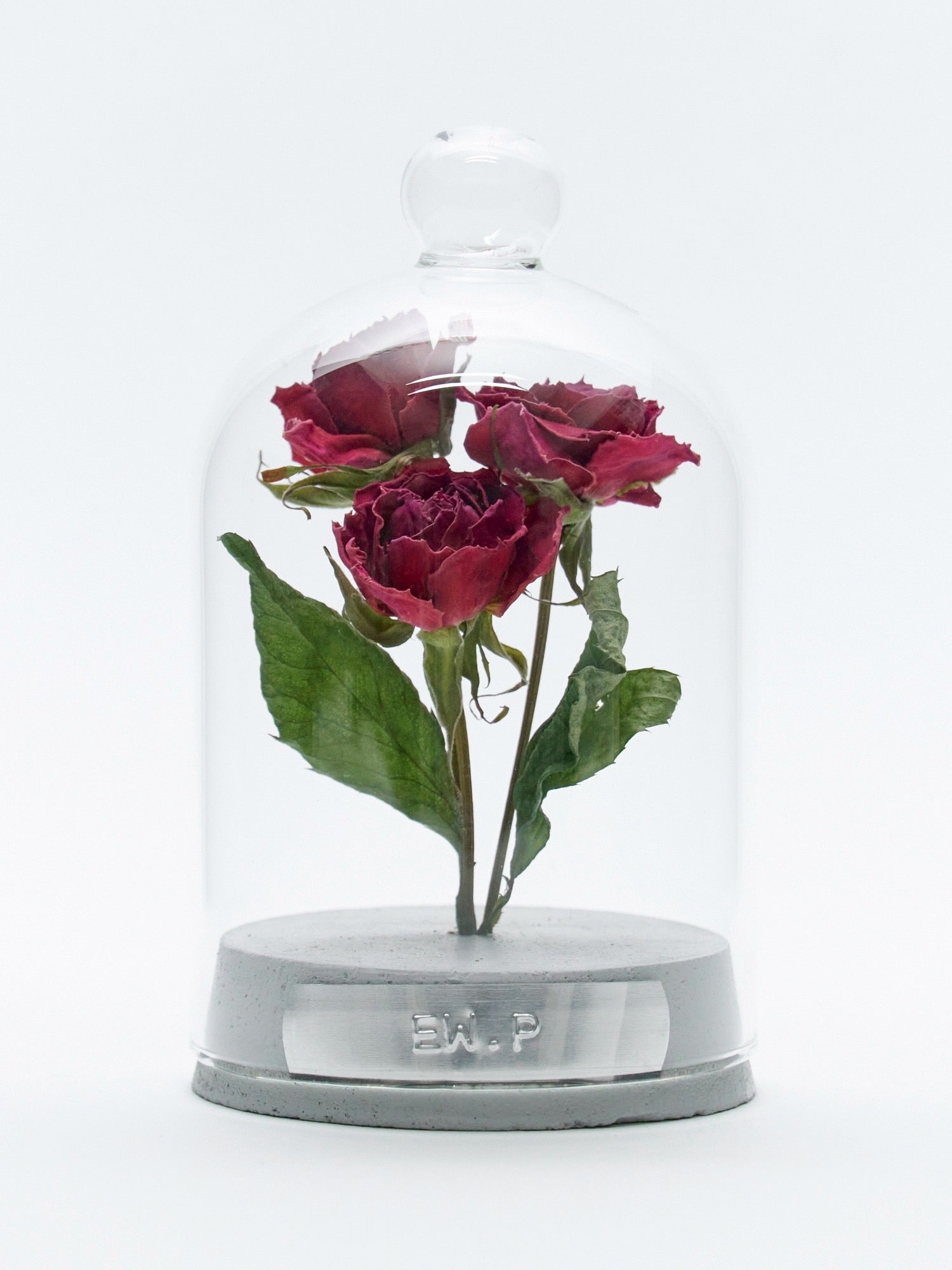 order-made specimen dome arrangement 