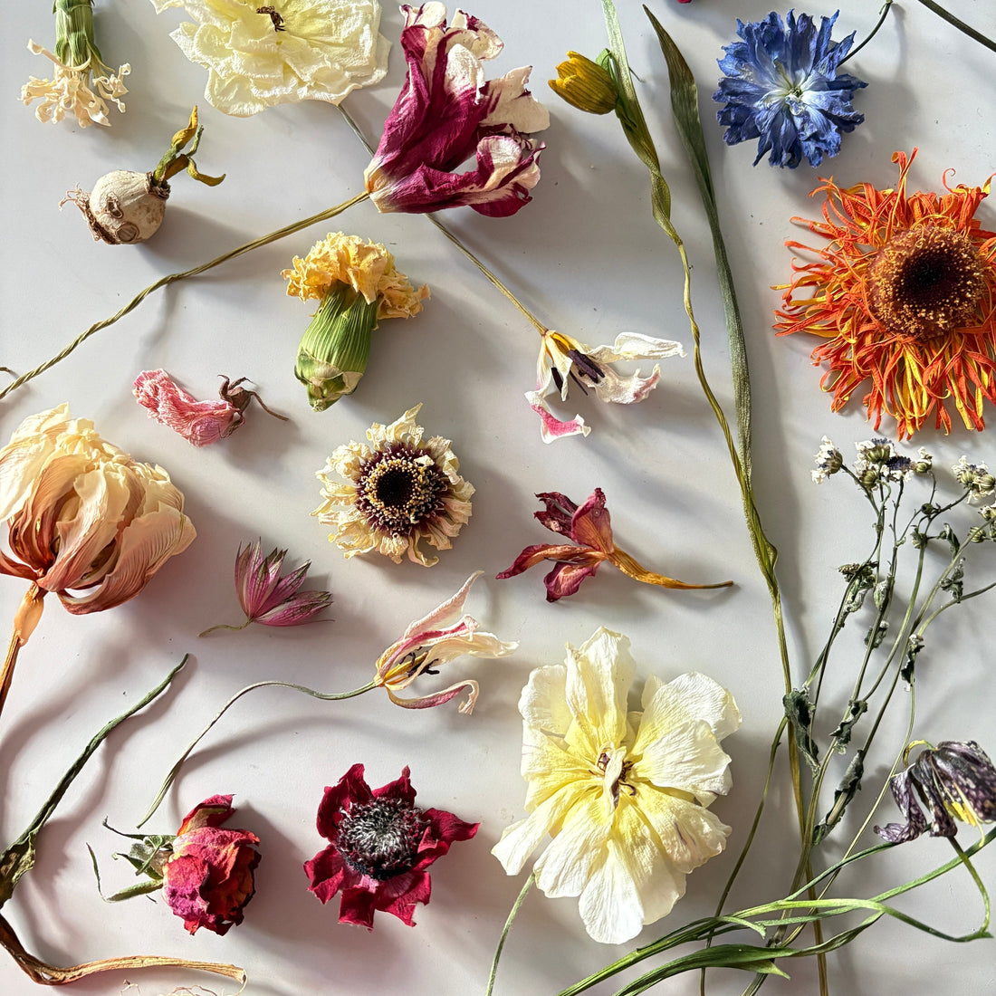 for summer, dried flowers.