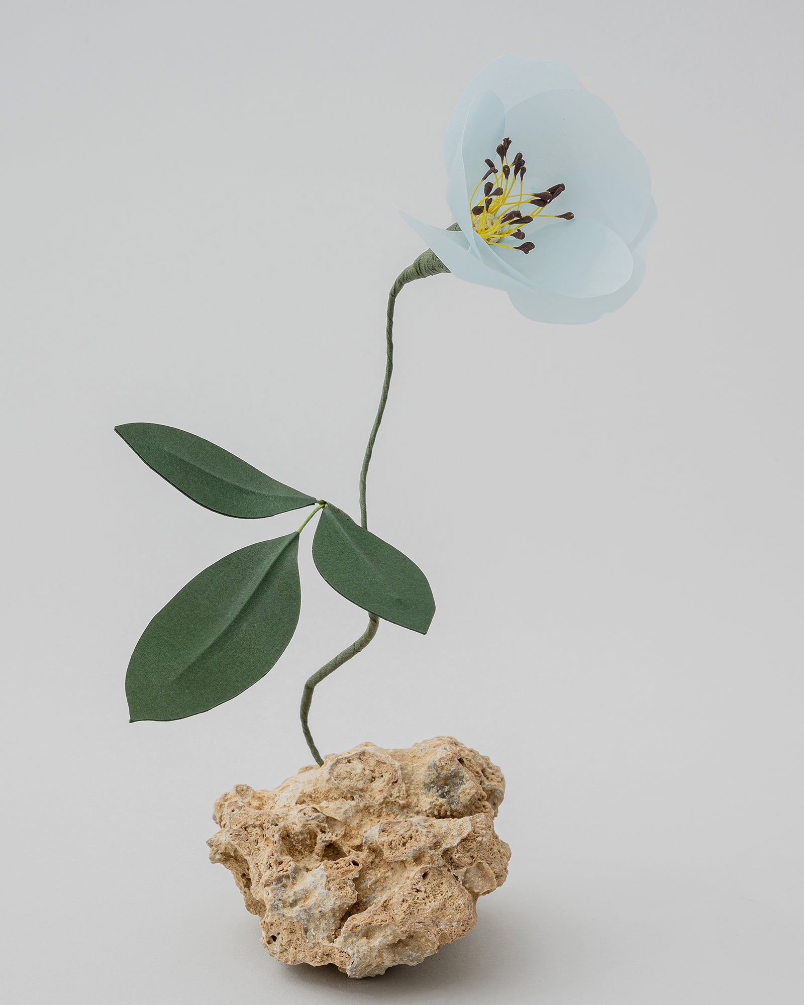 PAPER EDEN – edenworks