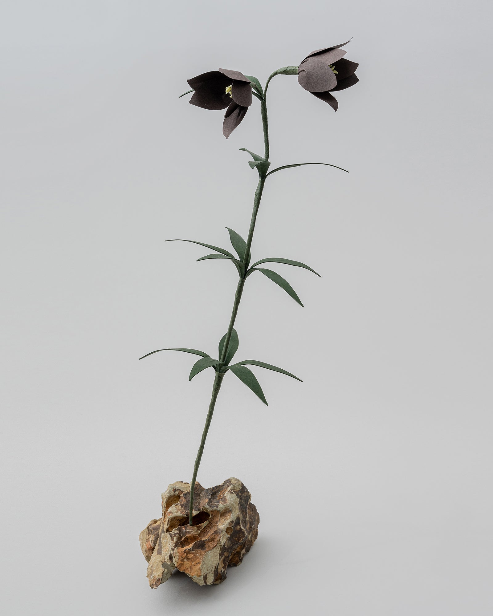 PAPER EDEN – edenworks