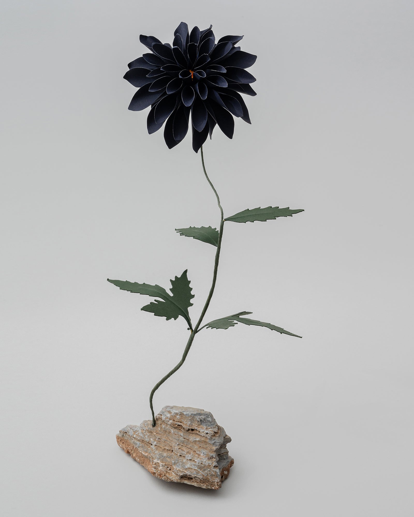 PAPER EDEN – edenworks