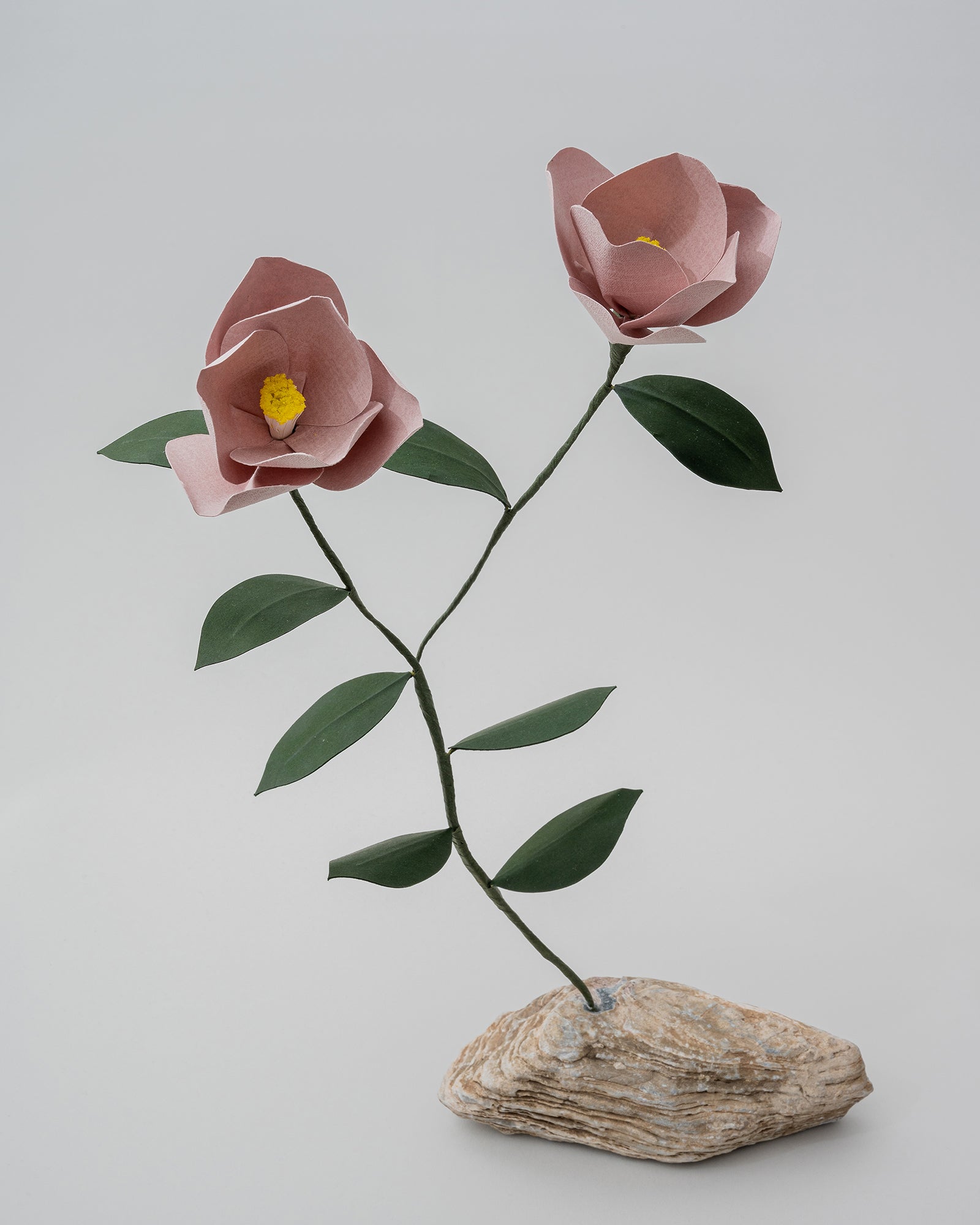 PAPER EDEN – edenworks