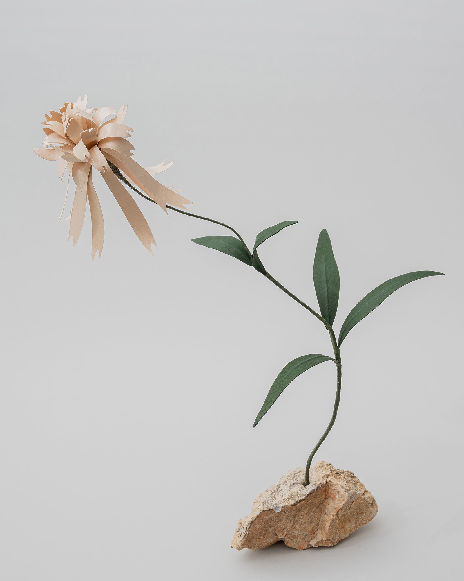 PAPER EDEN – edenworks