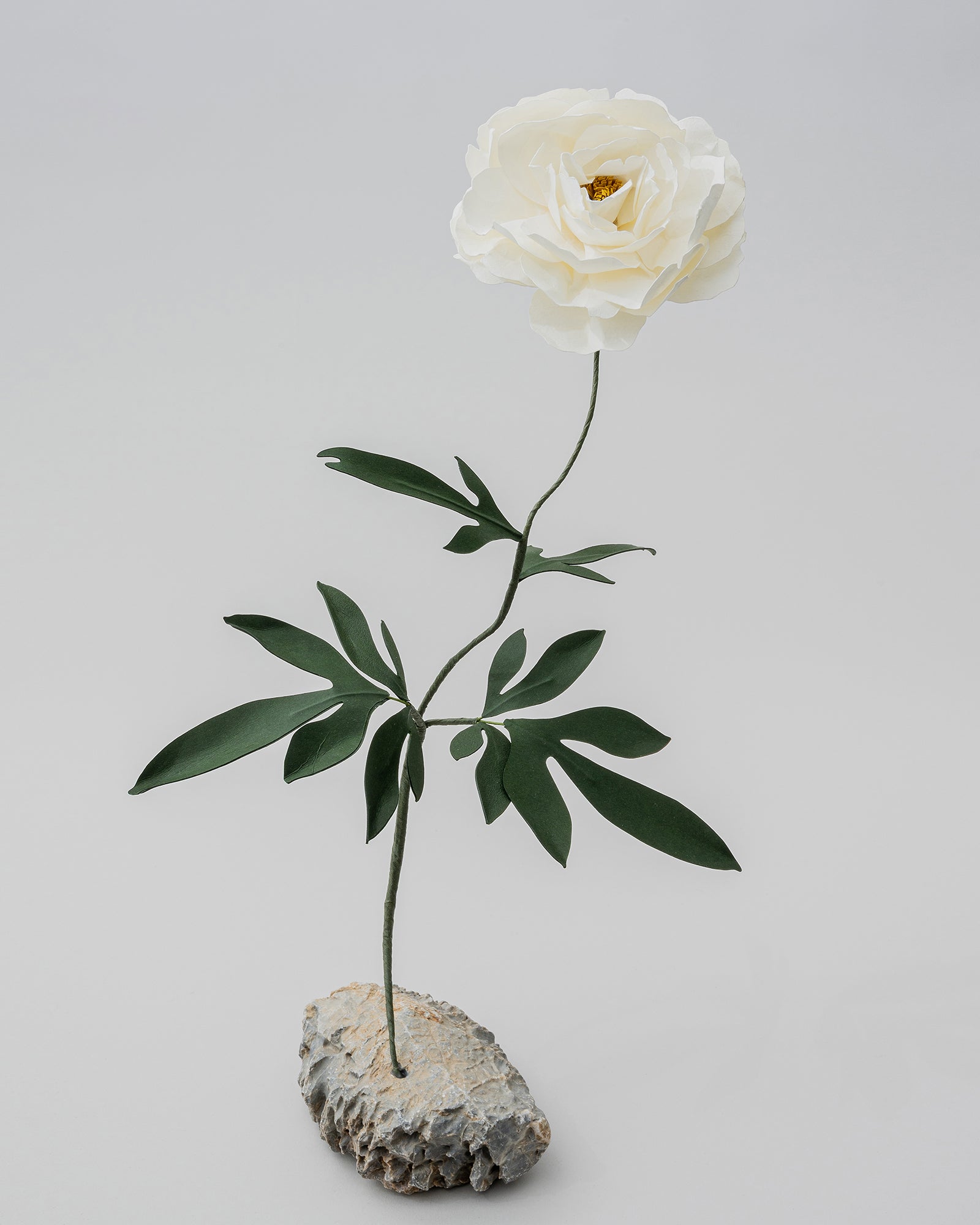 PAPER EDEN – edenworks