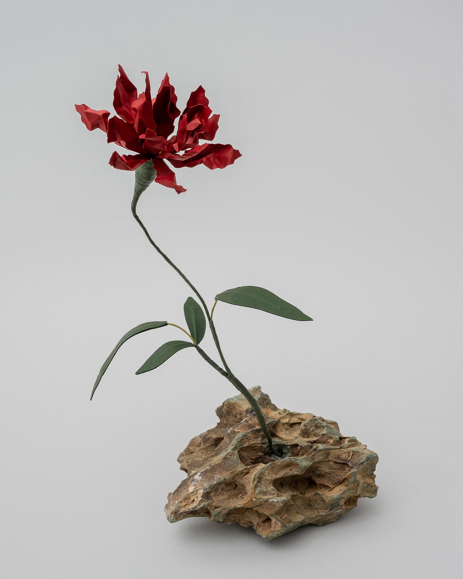 PAPER EDEN – edenworks