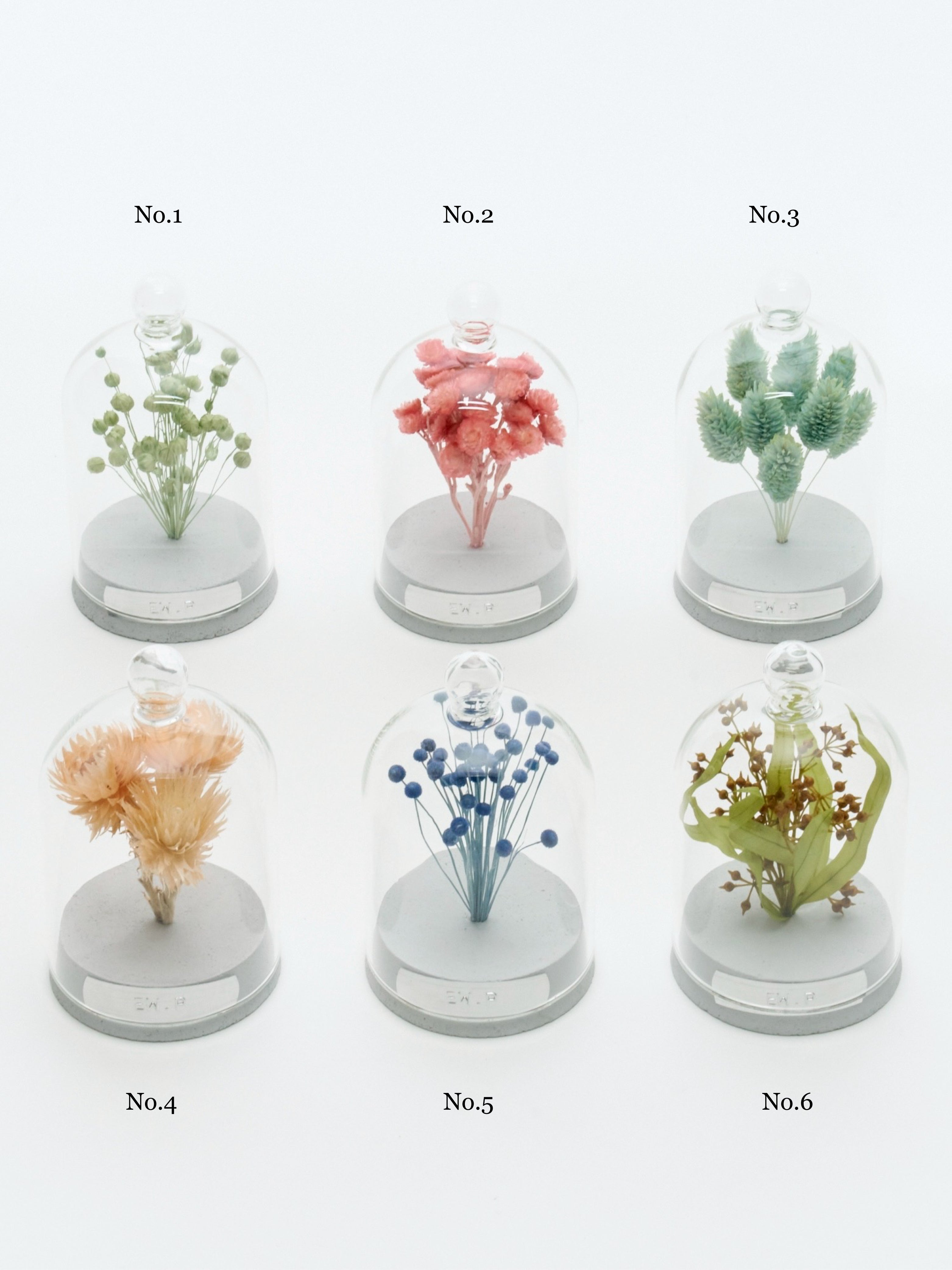 order-made specimen dome arrangement 