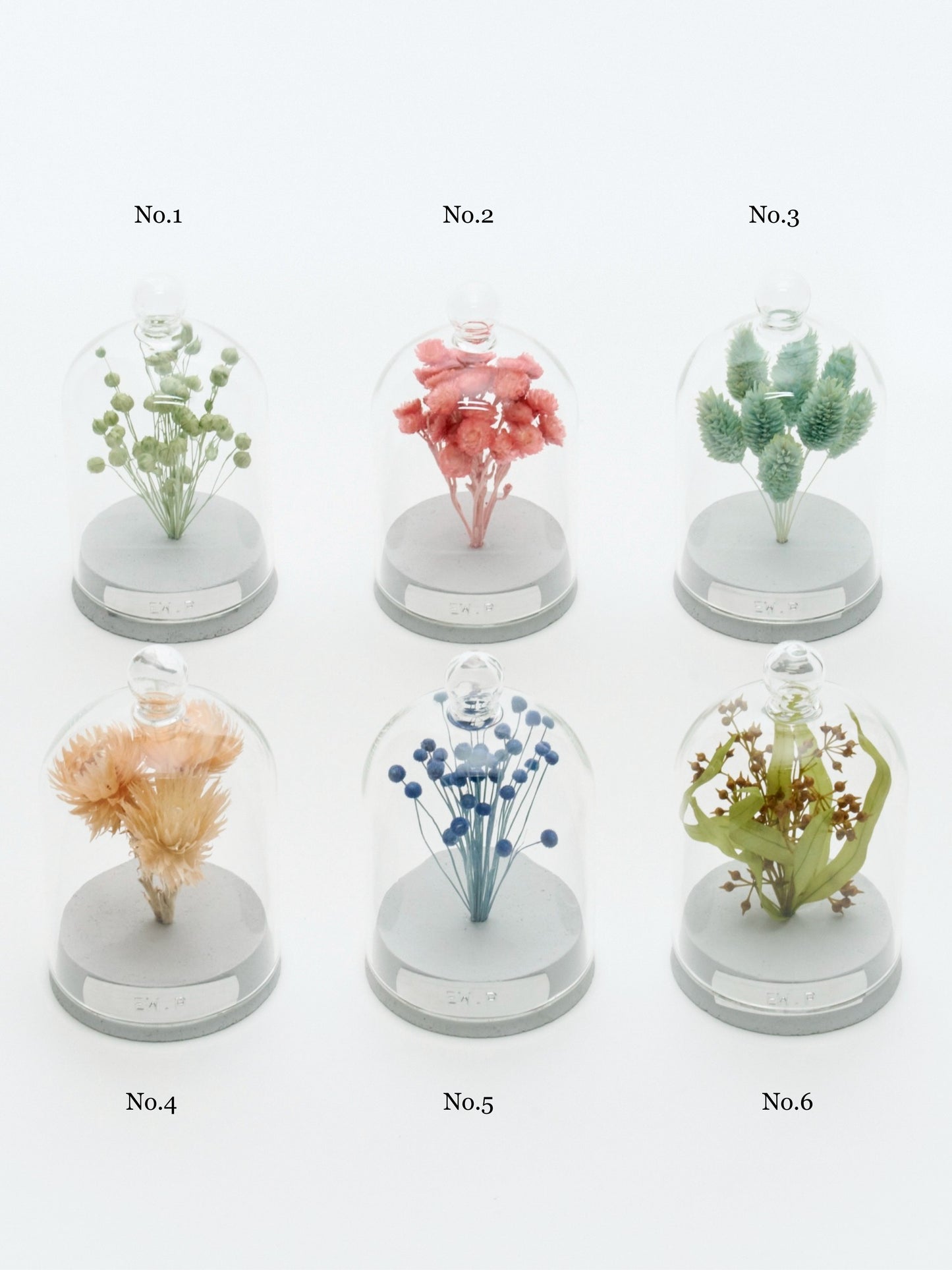 order-made specimen dome arrangement "2026 Summer"