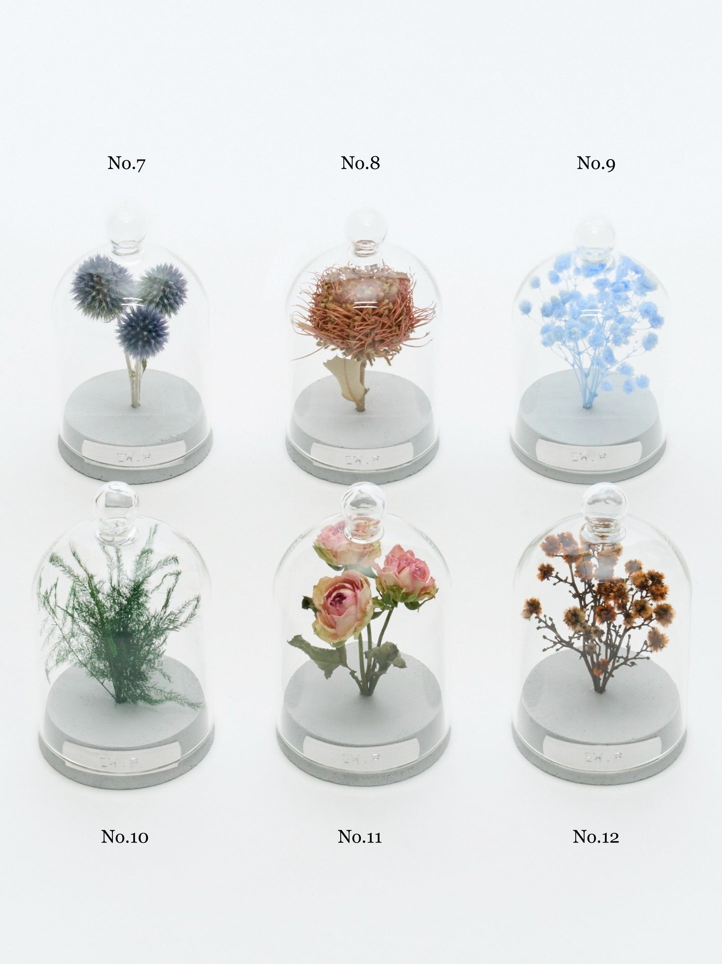 order-made specimen dome arrangement "2026 Summer"