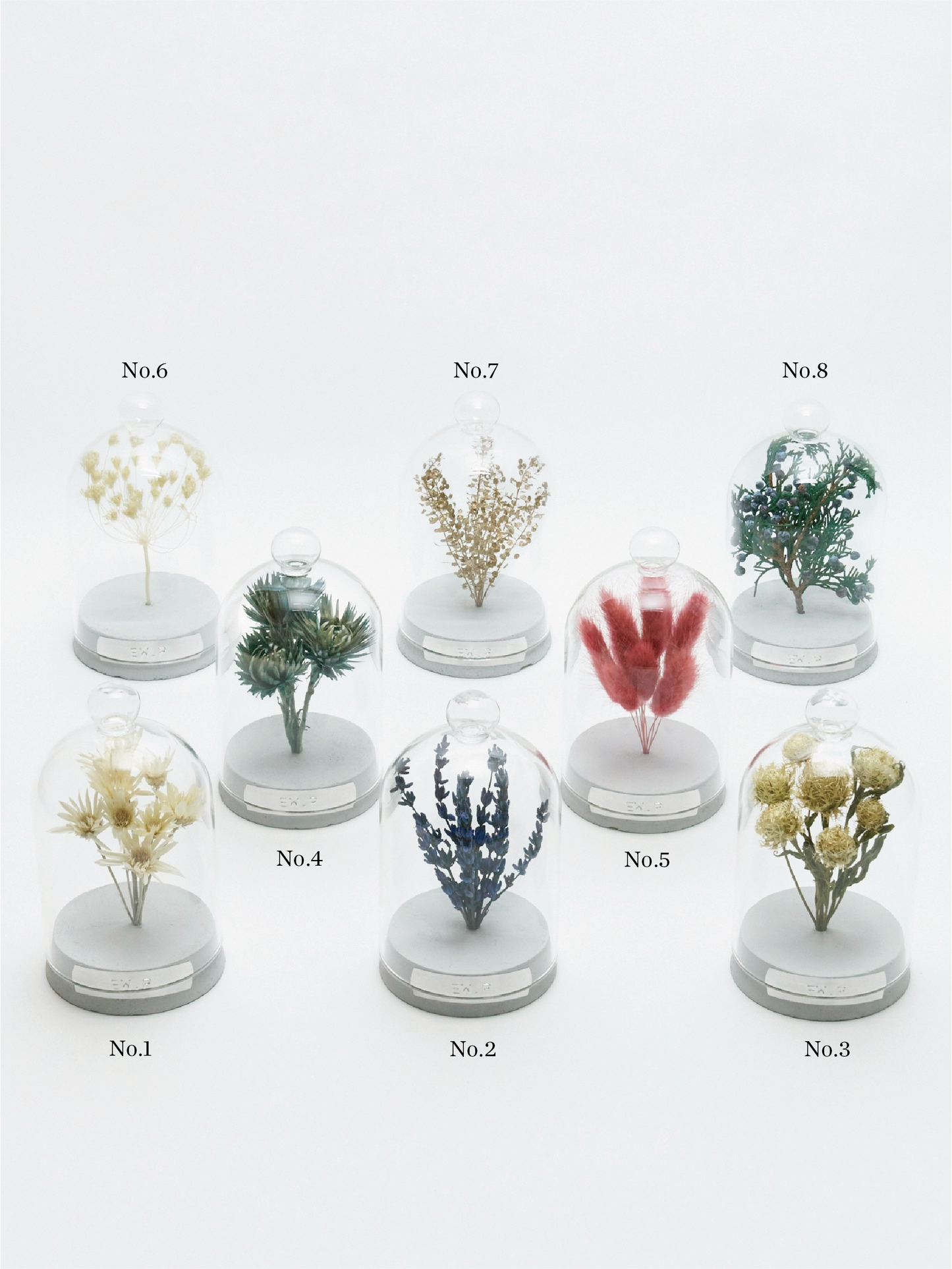 10 types custom-made package "2025 Summer"