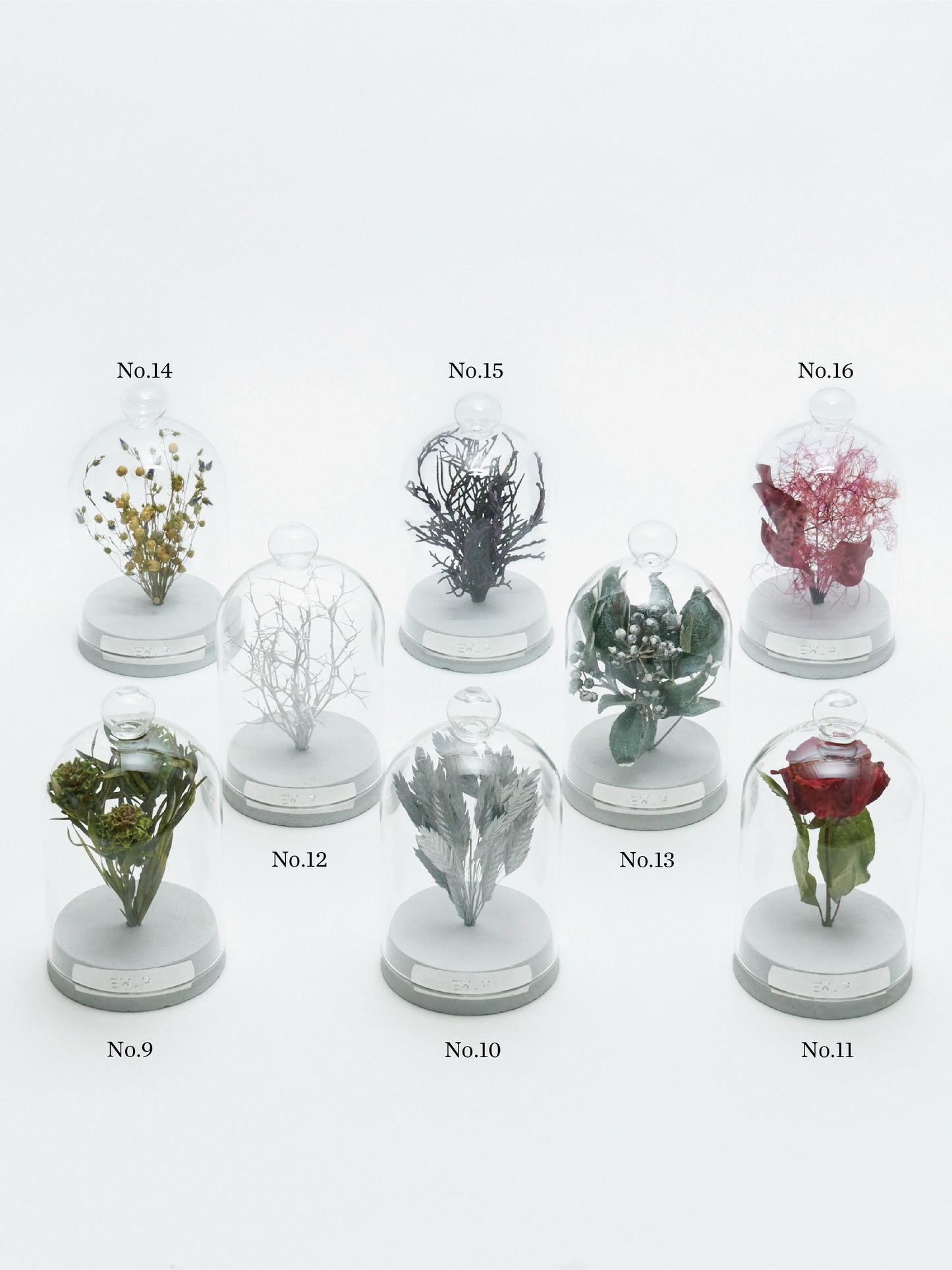 10 types custom-made package "2025 Summer"