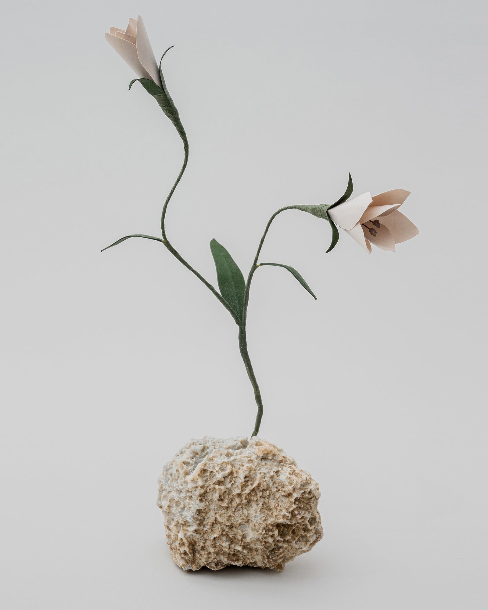 PAPER EDEN – edenworks