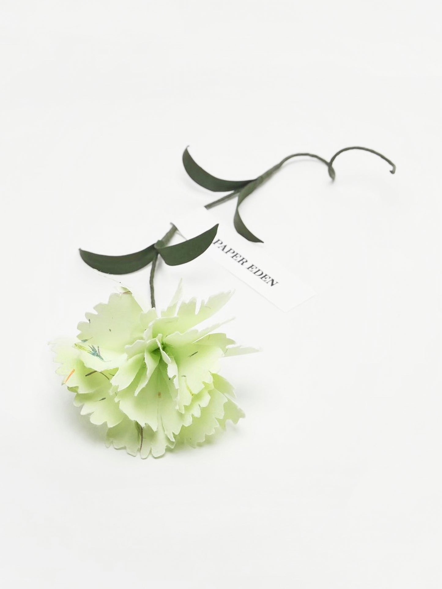 PAPER EDEN:Carnation green "Japanese paper ver."