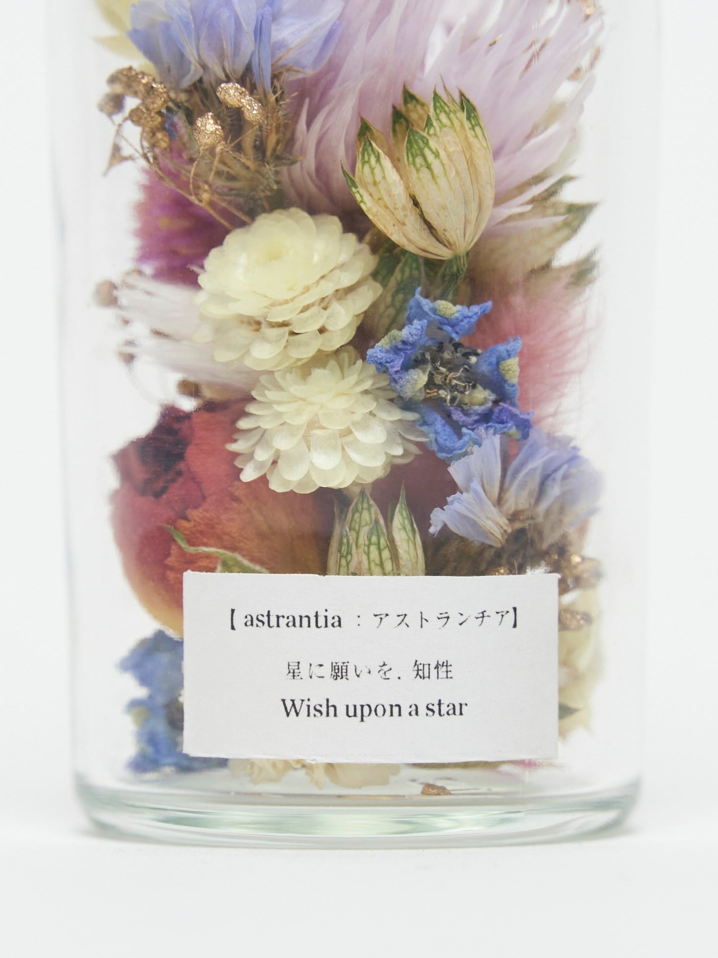 Flower language mini bottle "astrantia"