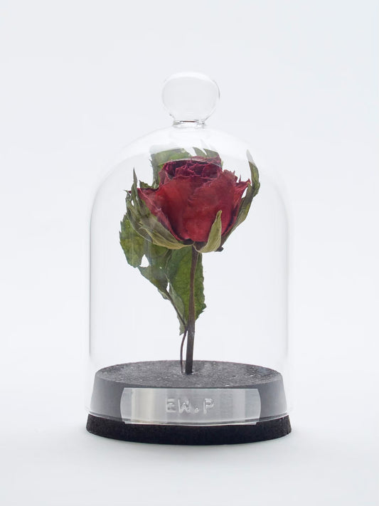 specimen dome arrangement "rose"