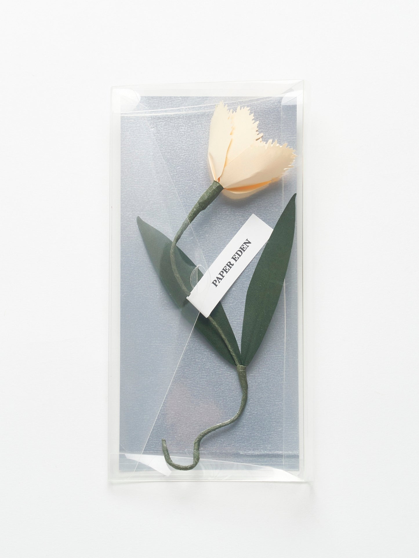 POST FLOWER “PAPER EDEN:Tulip”