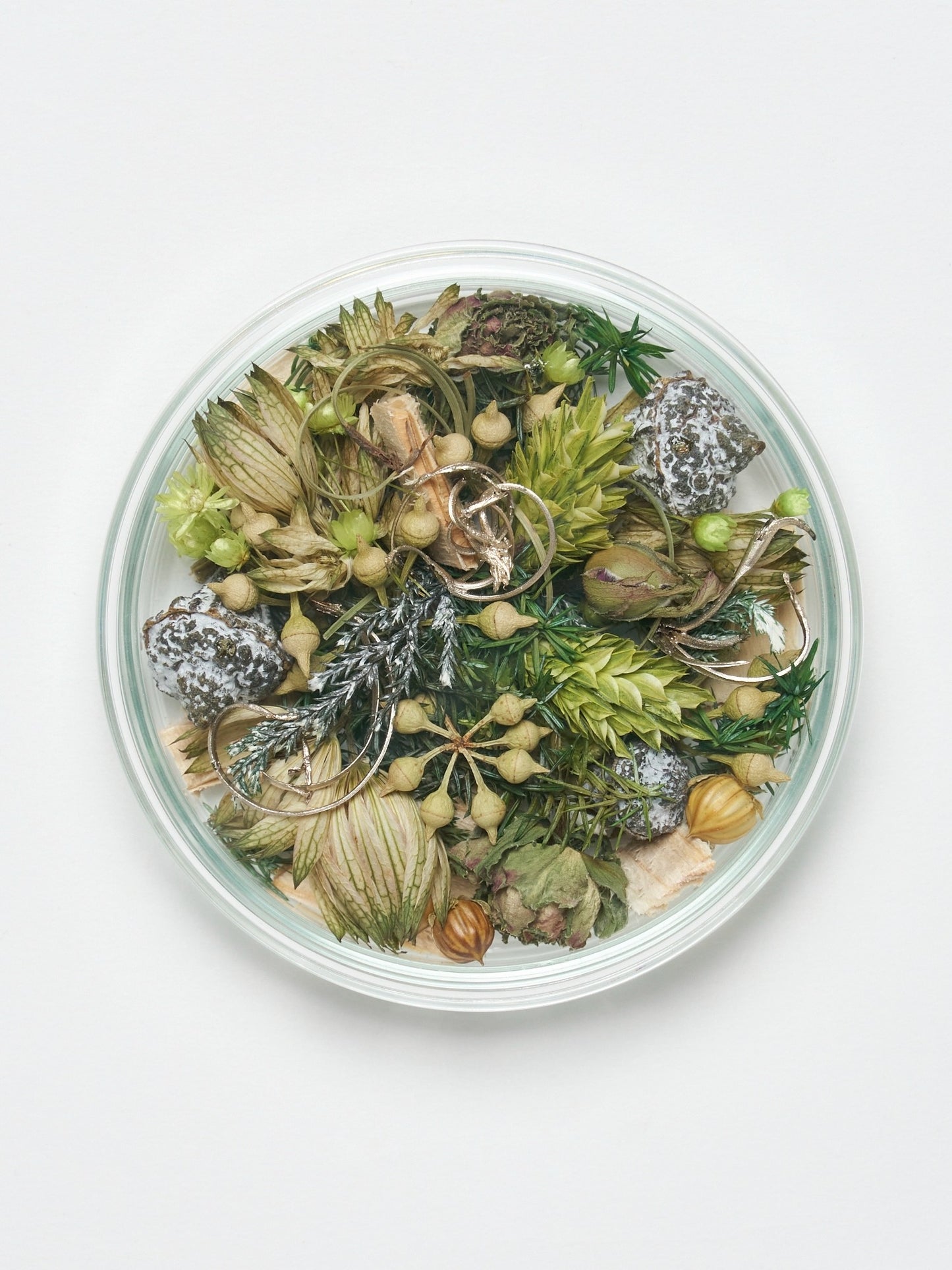 schale arrangement "winter scents ver."