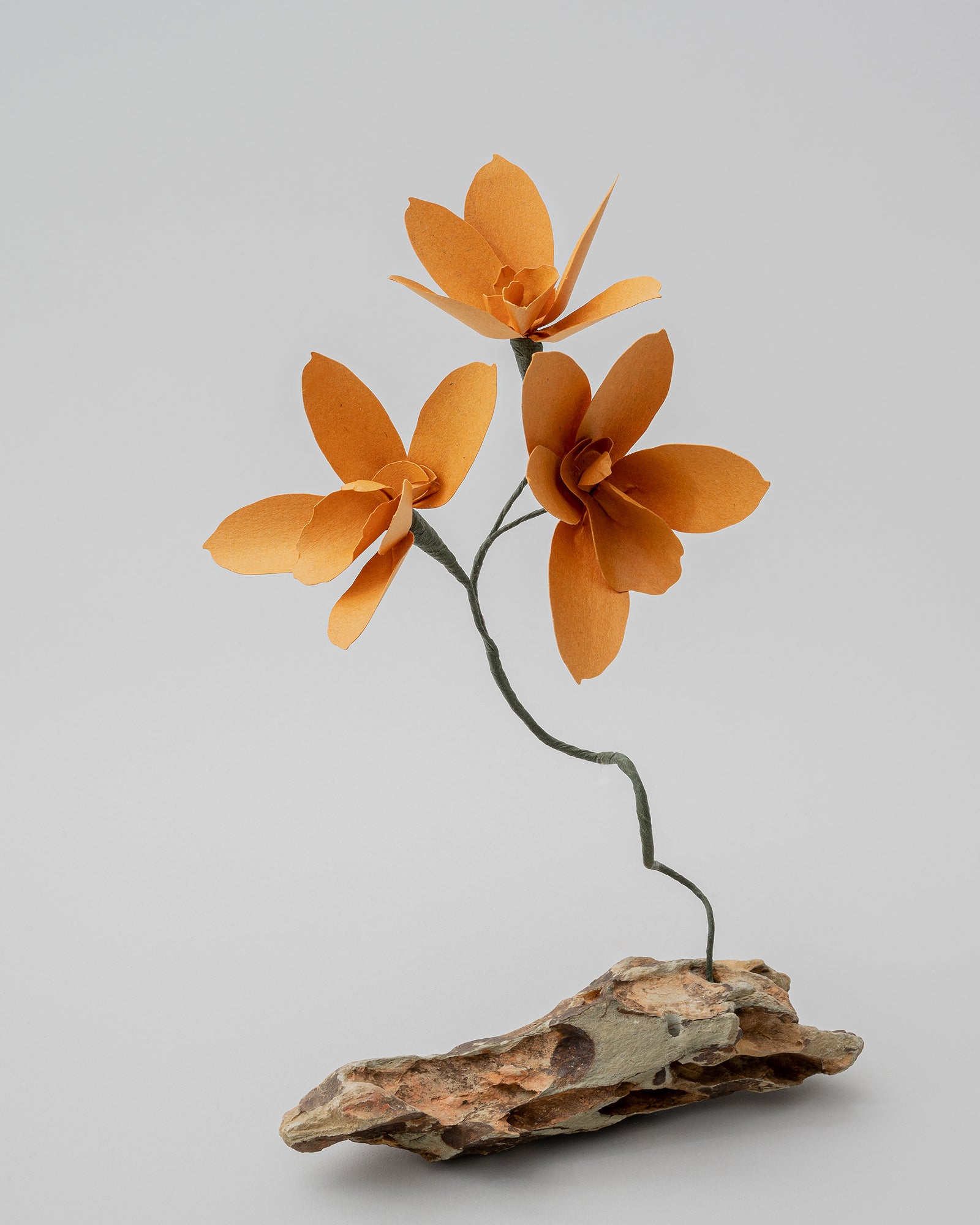 PAPER EDEN – edenworks