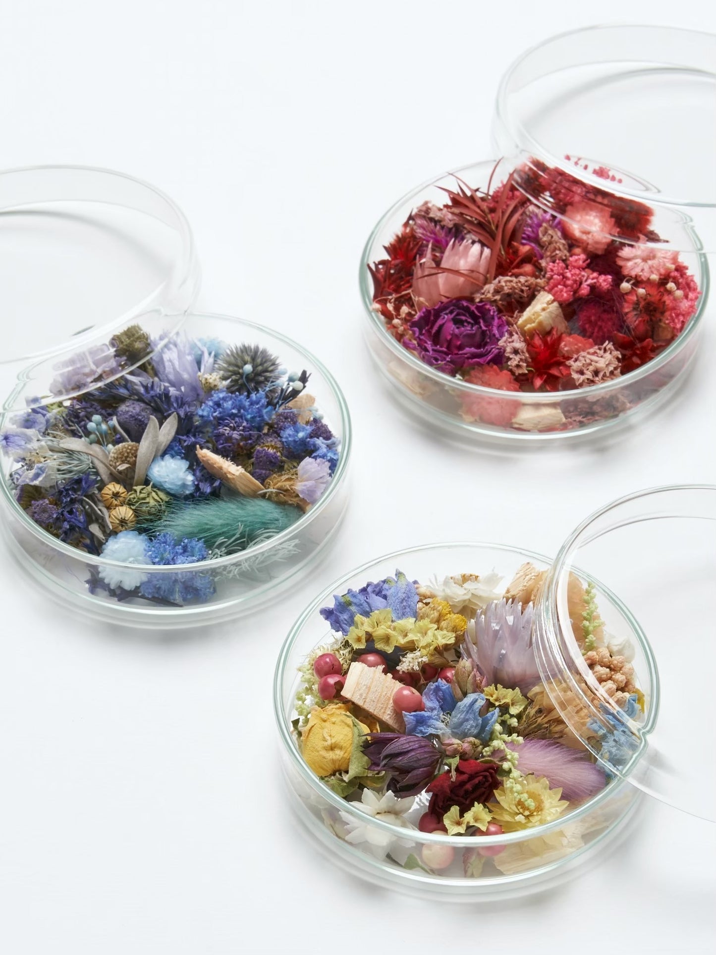 schale arrangement "spring scent ver."