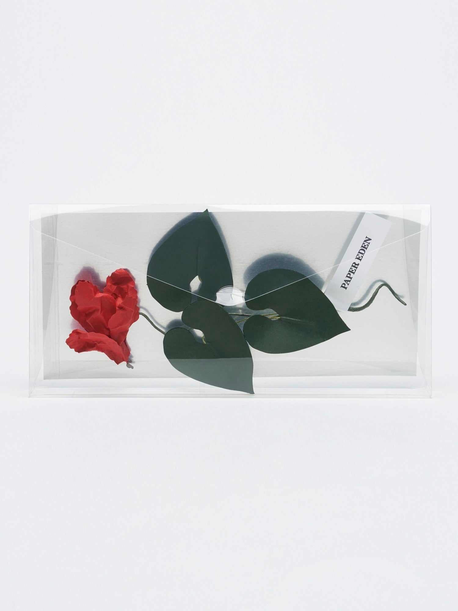 PAPER EDEN: Cyclamen