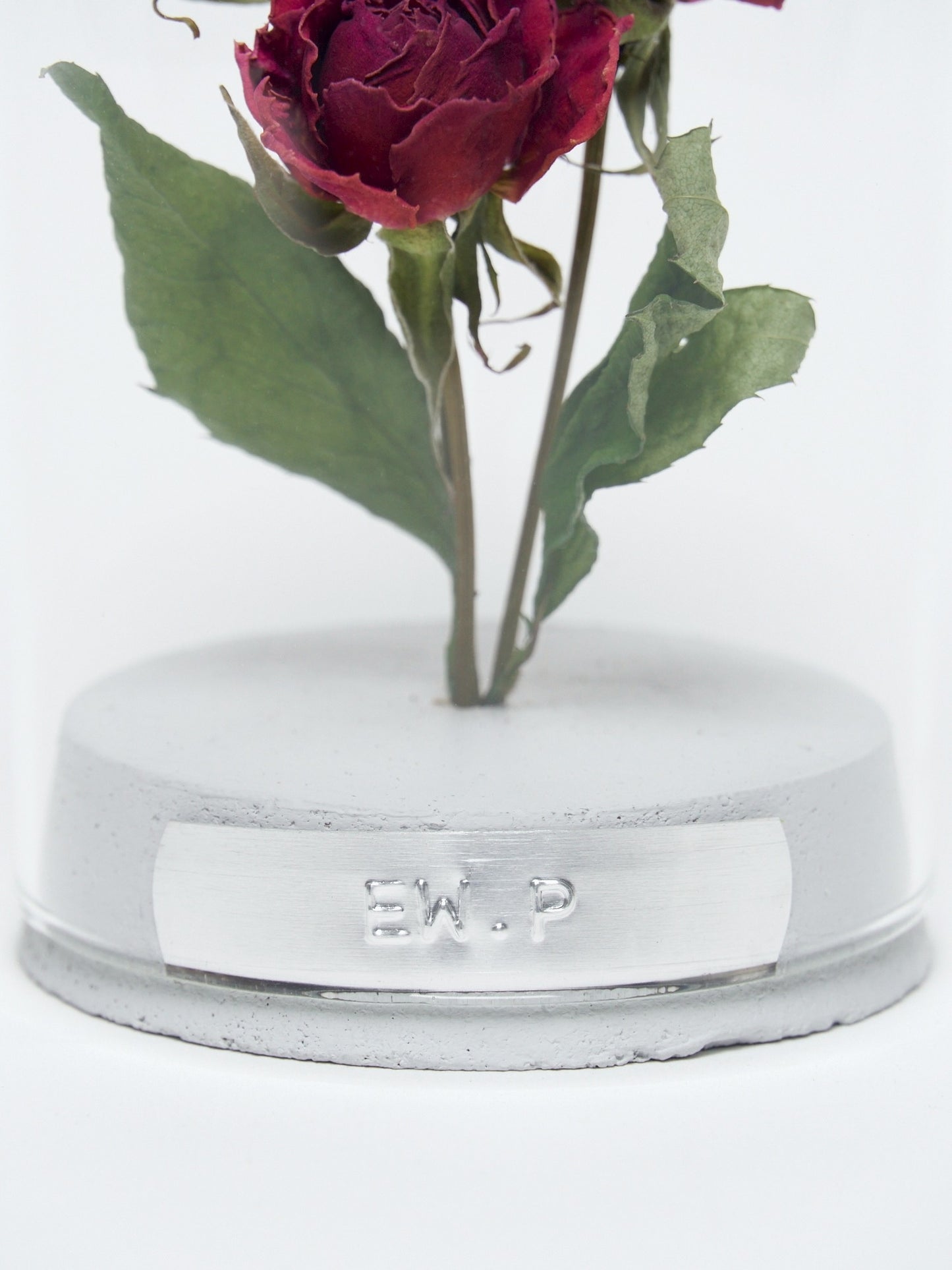 order-made specimen dome arrangement "2026 Spring"