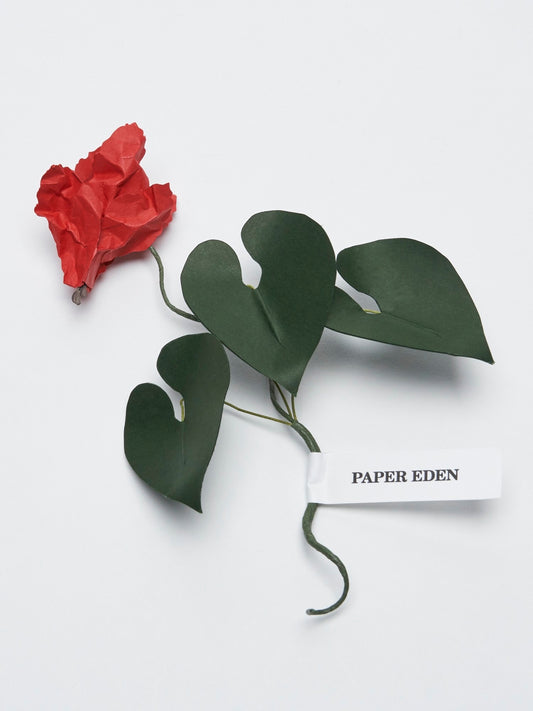 POST FLOWER  “PAPER EDEN: Cyclamen”