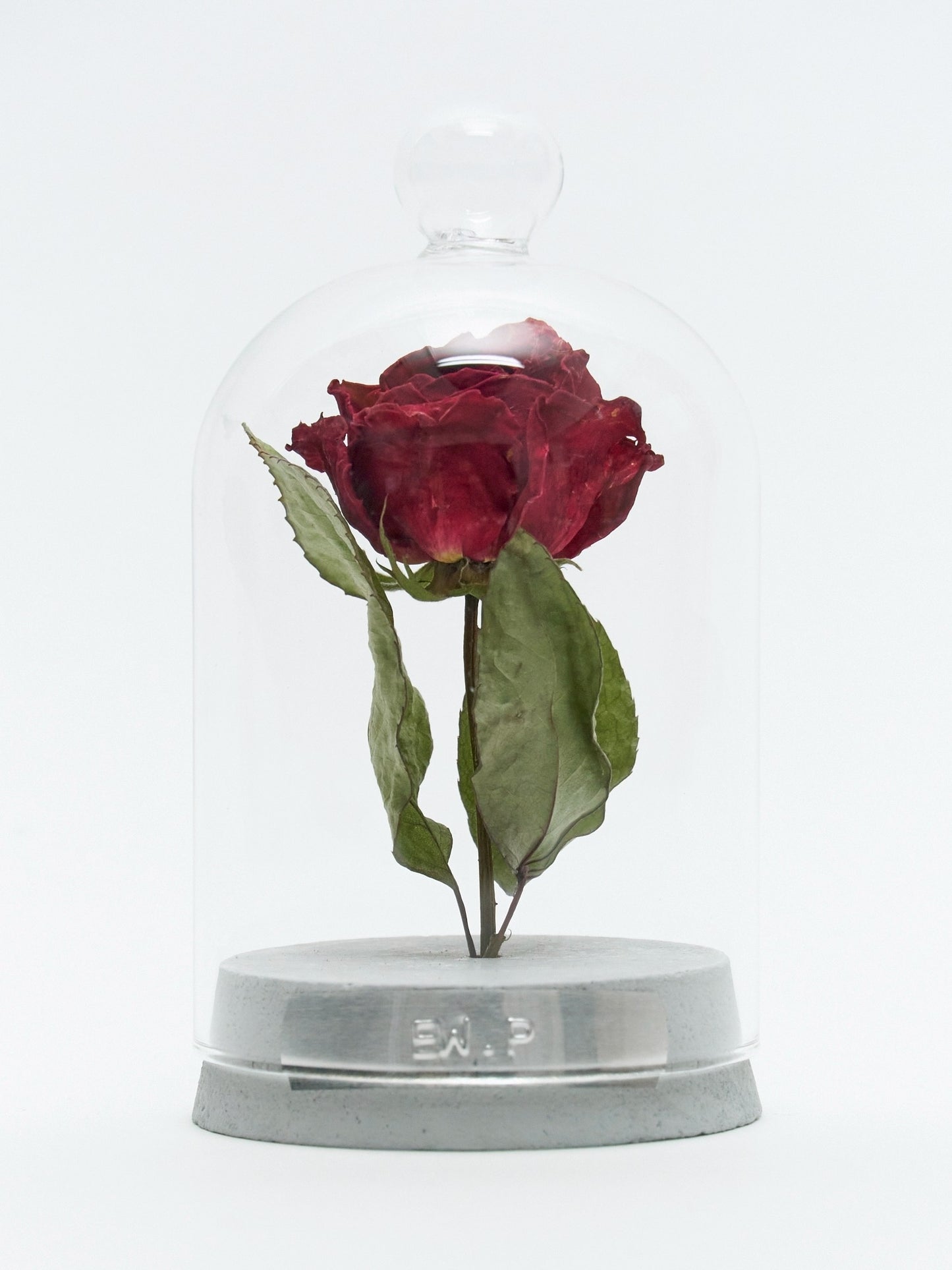 10 types custom-made package "2025 Summer"