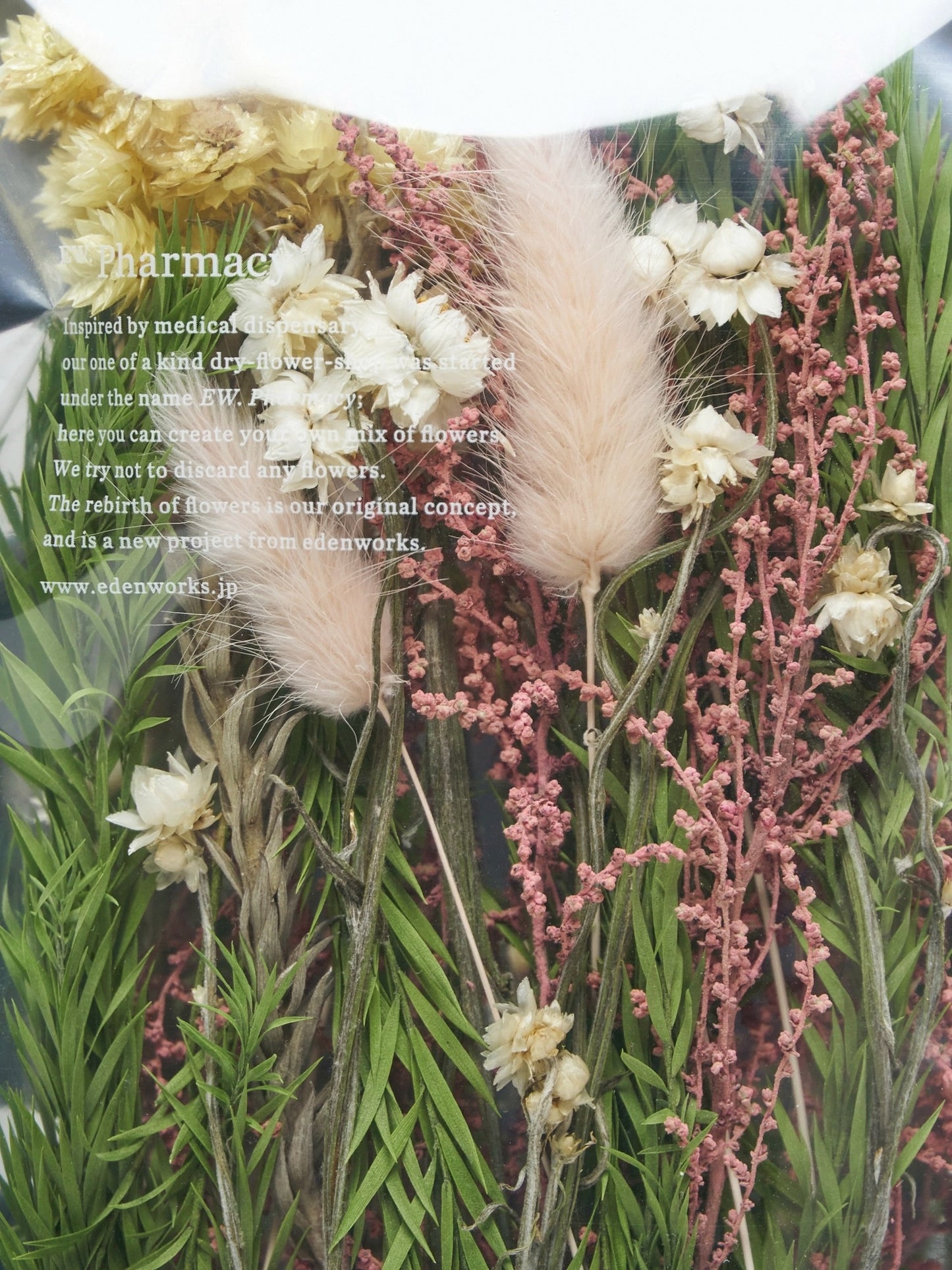 5 types custom-made package "2026 Spring"