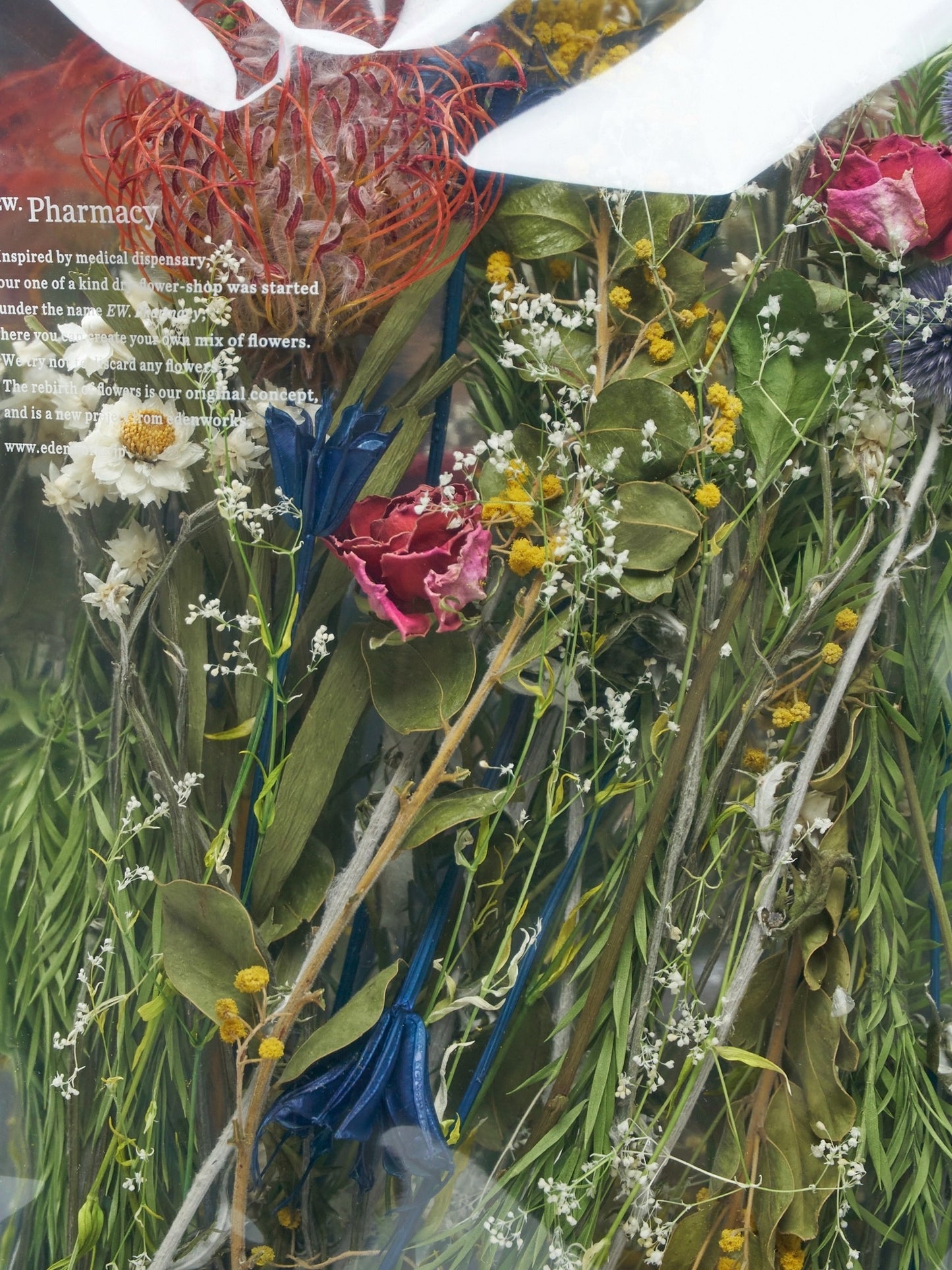 8 types custom-made package "2026 Spring"