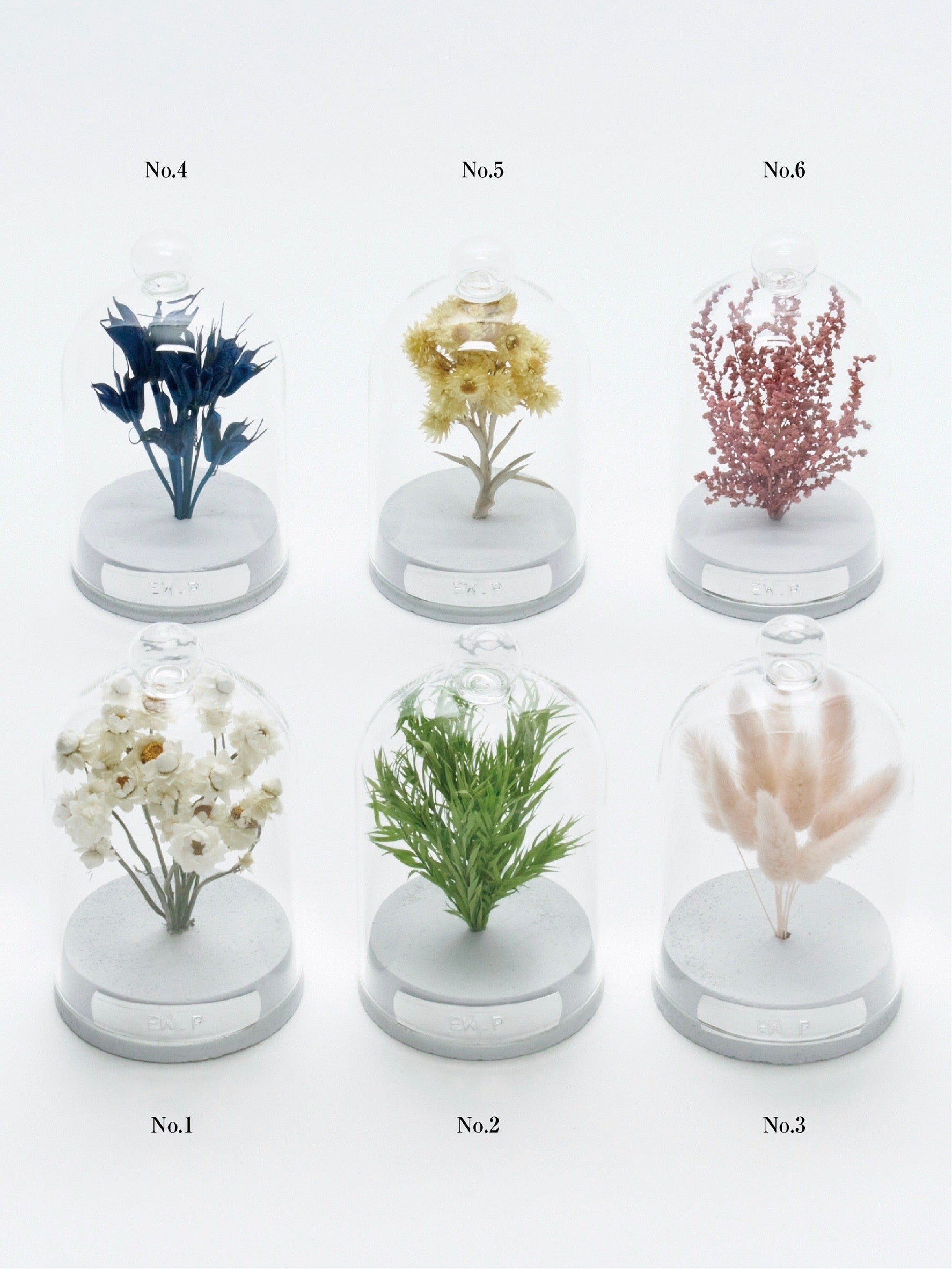 order-made specimen dome arrangement 
