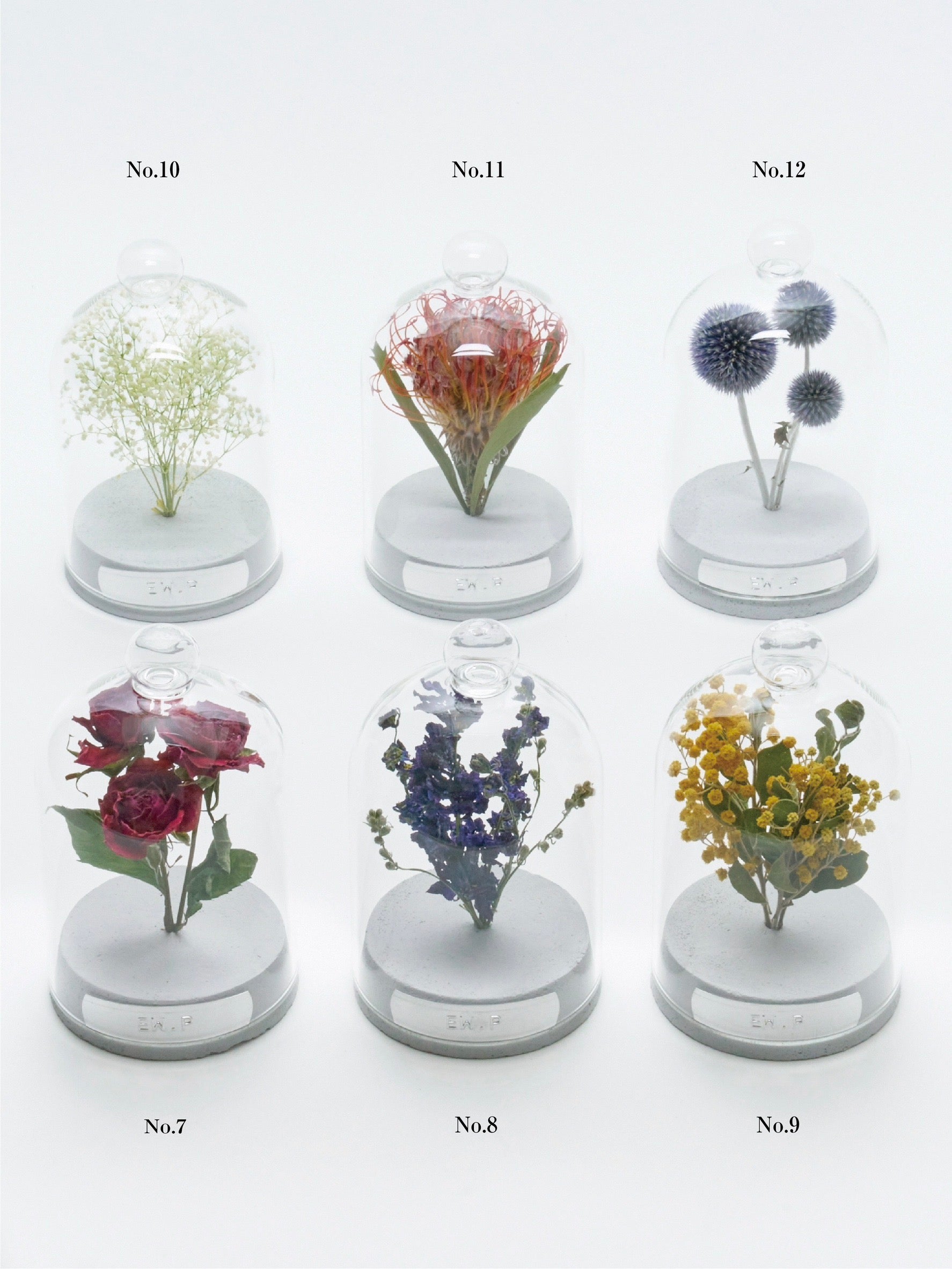 order-made specimen dome arrangement 