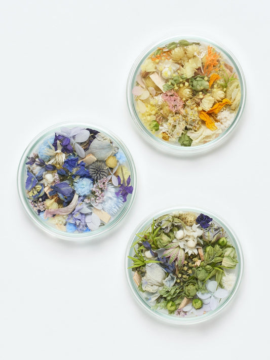 schale arrangement "summer scent ver."