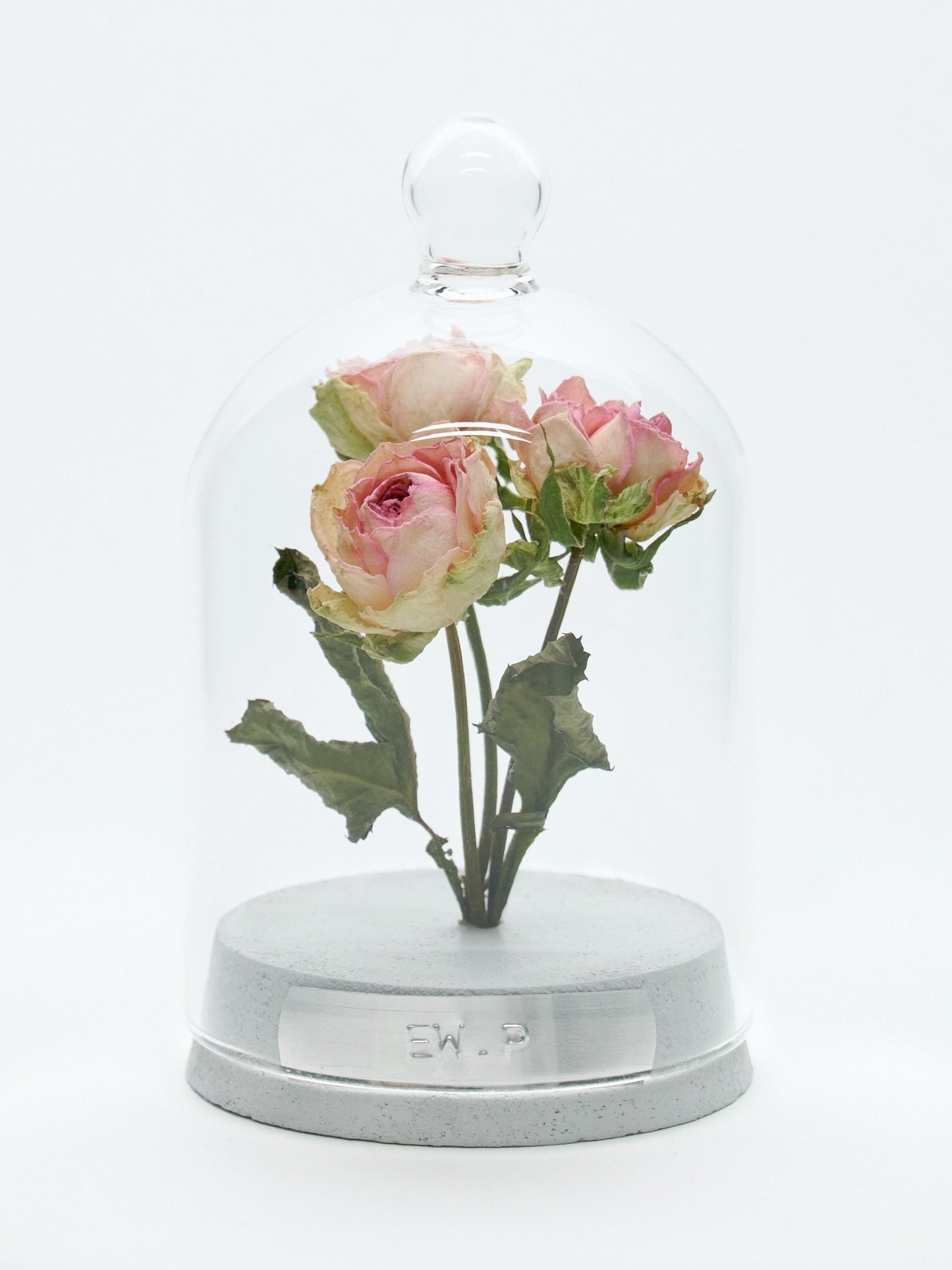 order-made specimen dome arrangement "2026 Summer"