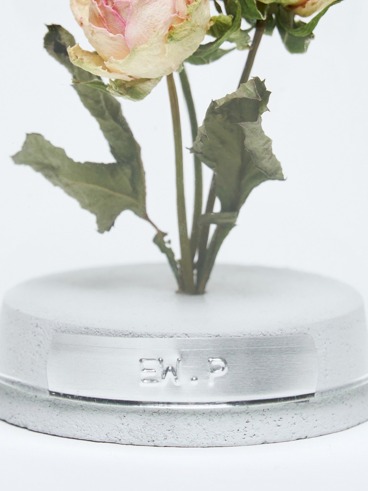 order-made specimen dome arrangement 