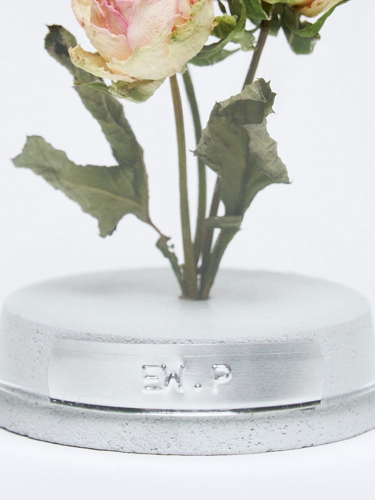 order-made specimen dome arrangement "2026 Summer"