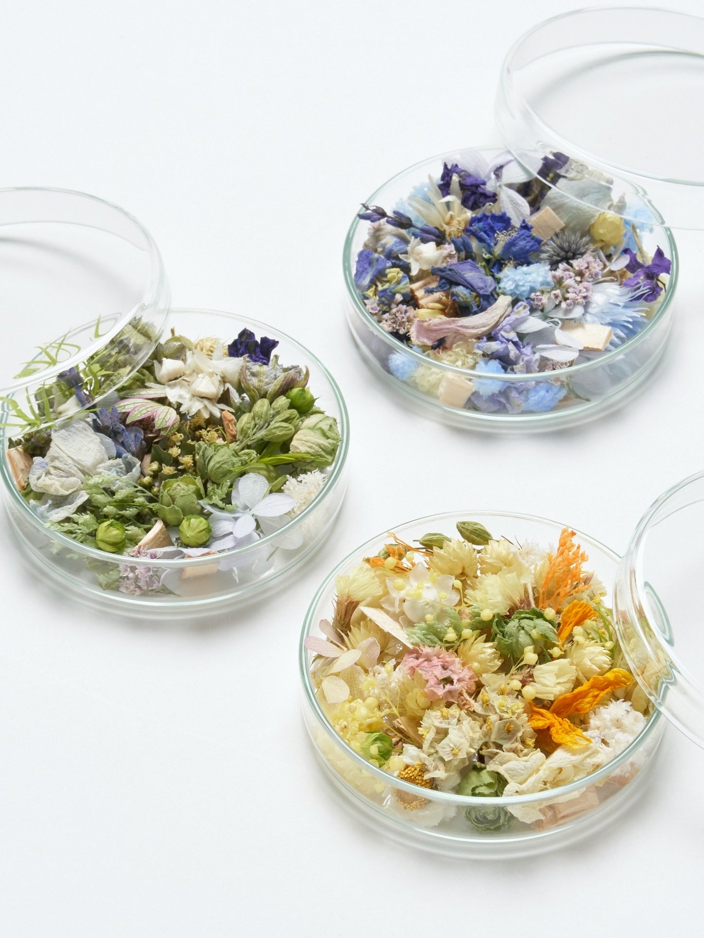 schale arrangement "summer scent ver."