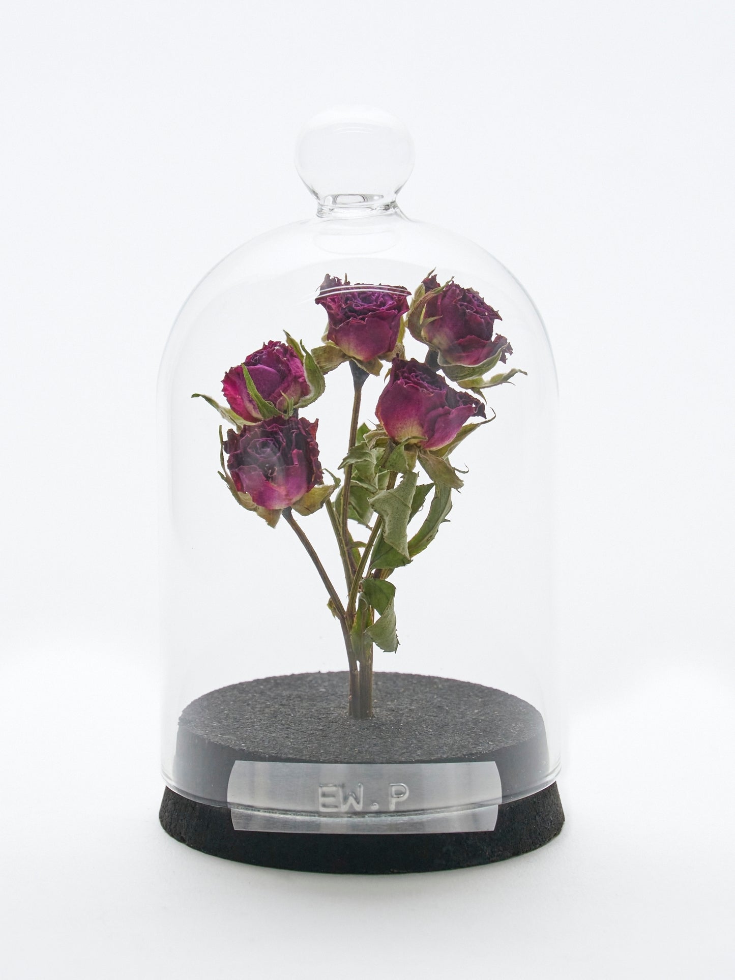 【mother's day】specimen dome "rose"