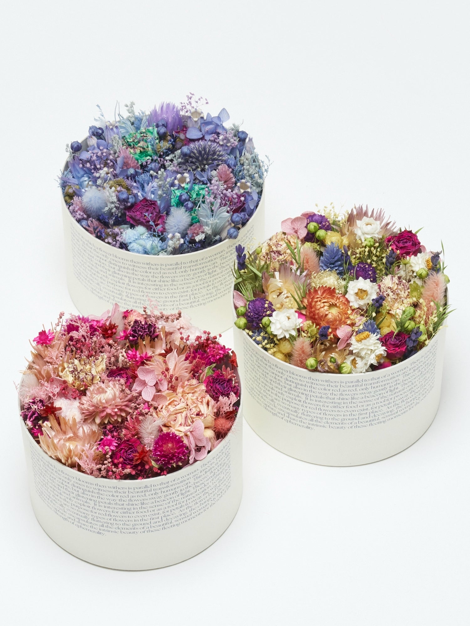 *完成*flower✿様オーダー Flower #この花泥棒 Exhibition 25/26AW @levis_japan for Decoration テーブル・机