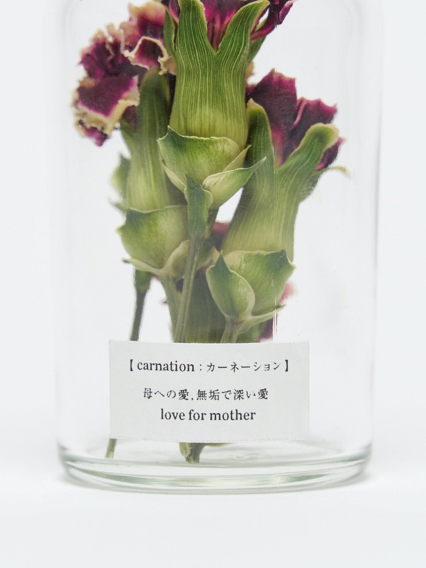 【mother's day】flower specimen mini bottle "carnation"