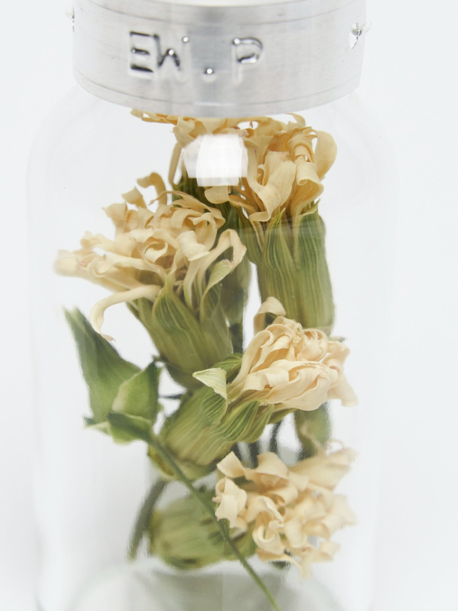 DRIED FLOWER – edenworks