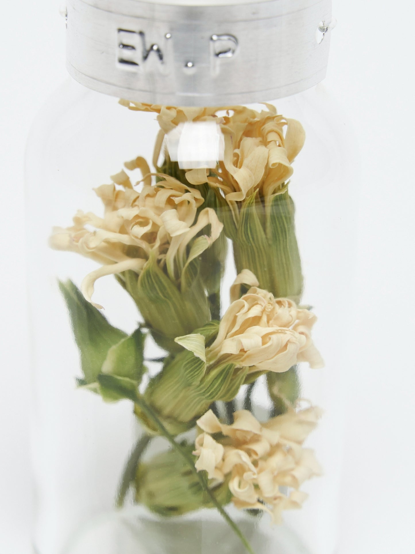 【mother's day】flower specimen mini bottle "carnation"