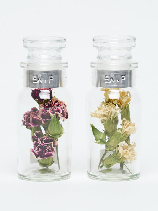 【mother's day】flower specimen mini bottle "carnation"
