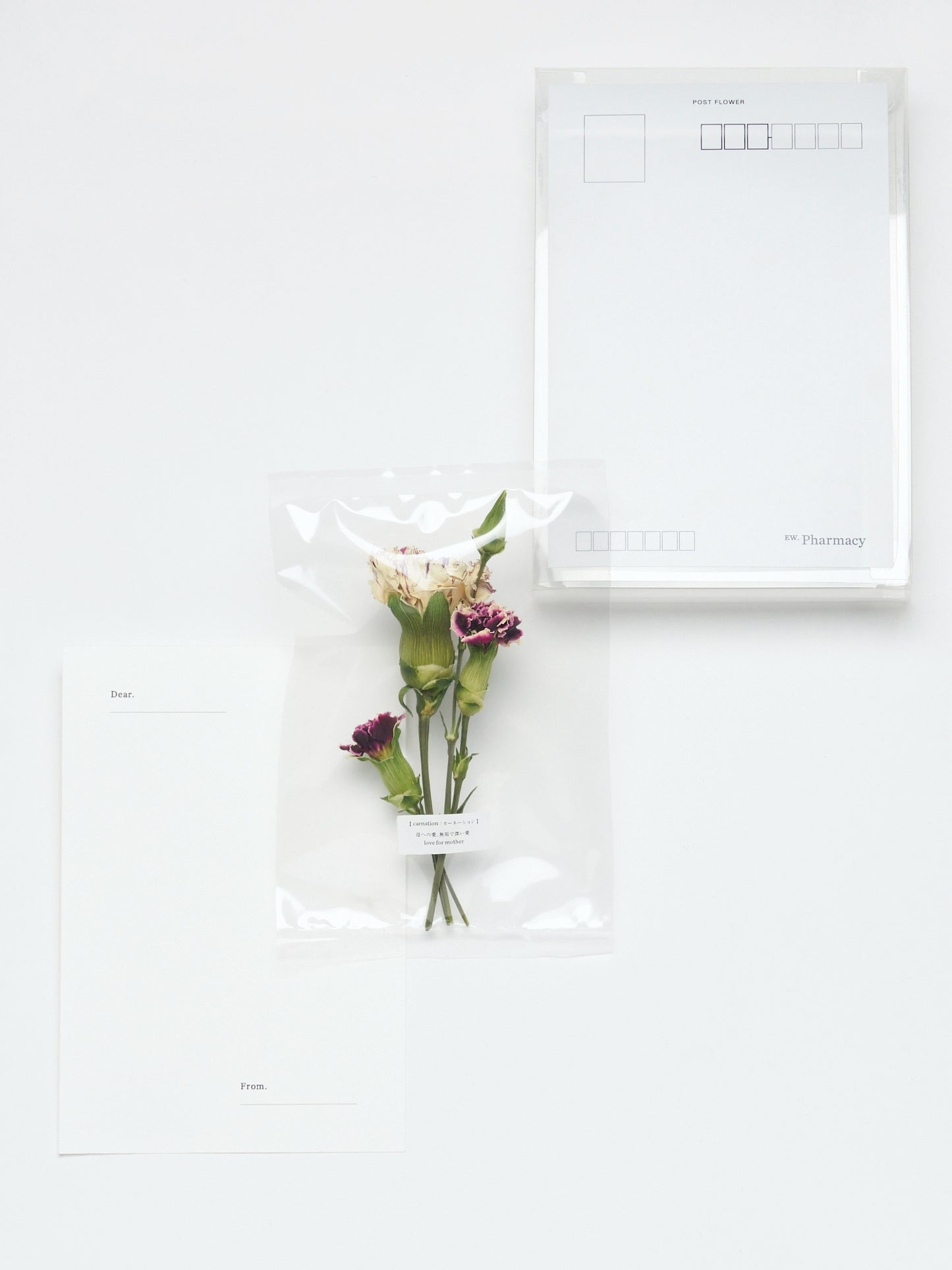 【mother's day】POST FLOWER "carnation ver."