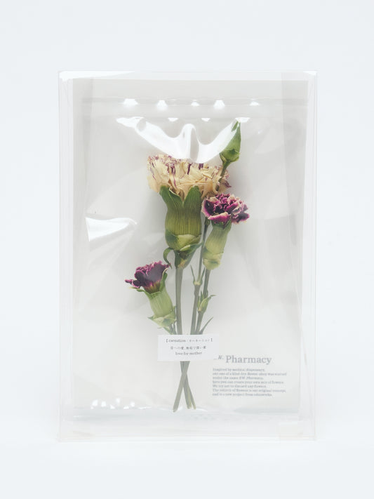 【mother's day】POST FLOWER "carnation ver."