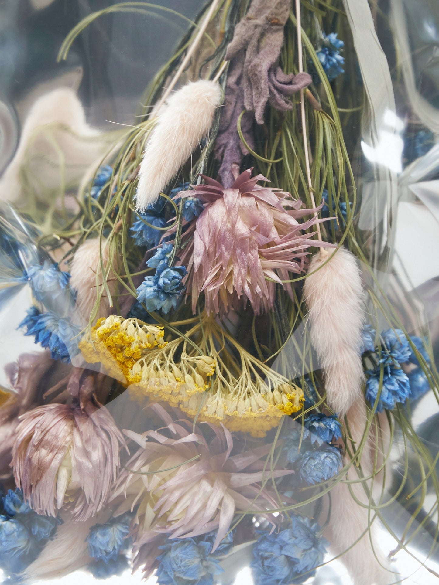 5種 order-made swag package "2026 Autumn"