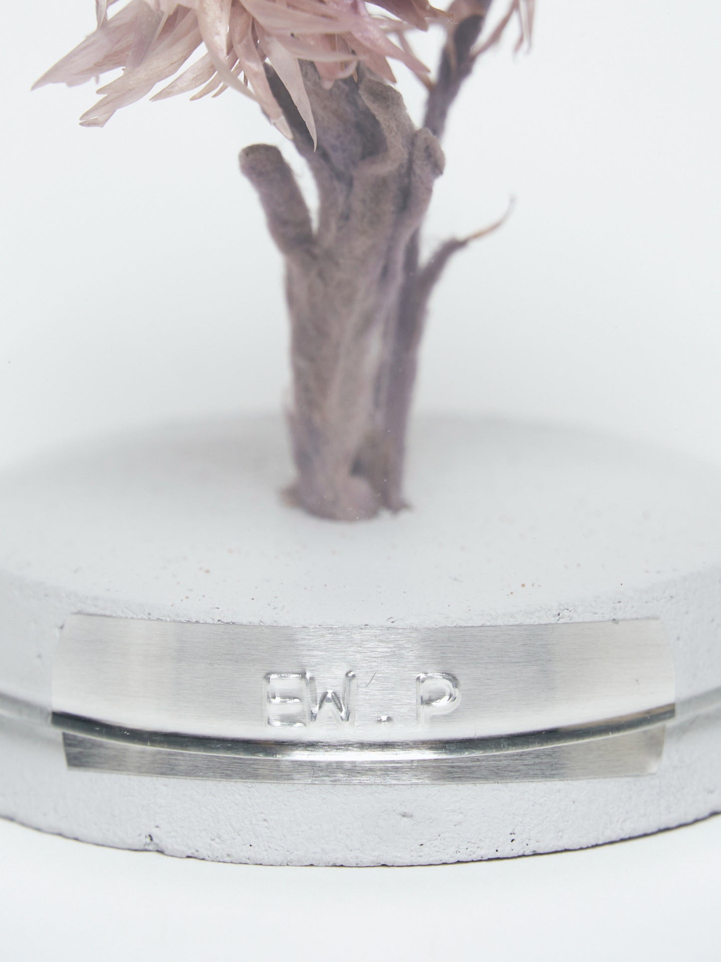 order-made specimen dome arrangement "2026 Autumn"