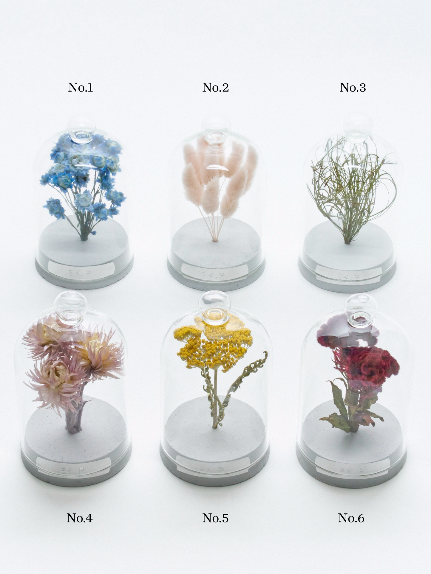 order-made specimen dome arrangement "2026 Autumn"