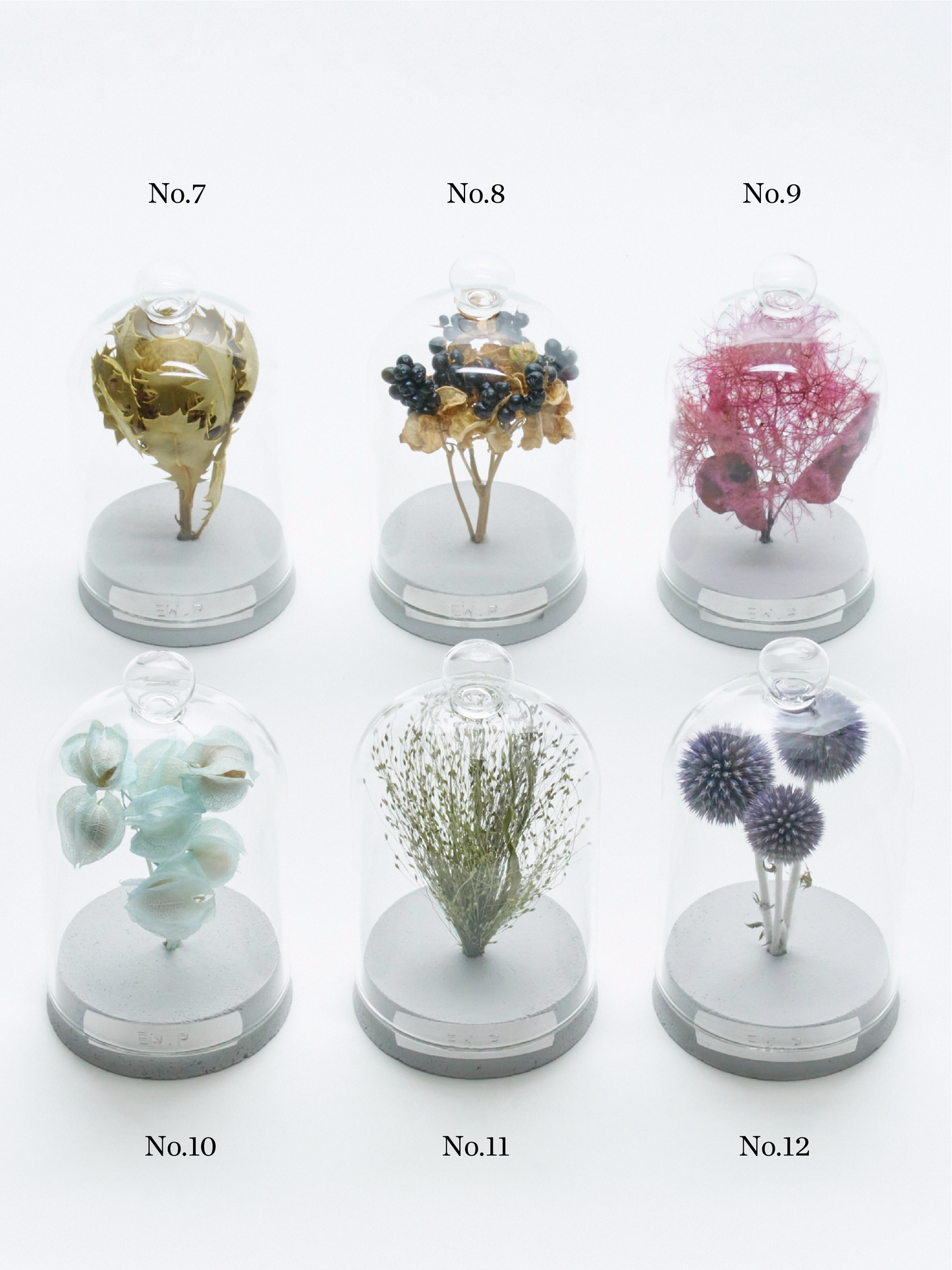 order-made specimen dome arrangement "2026 Autumn"