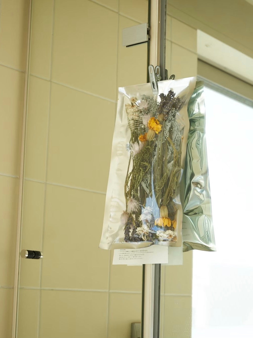 5 types custom-made package "2026 Spring"